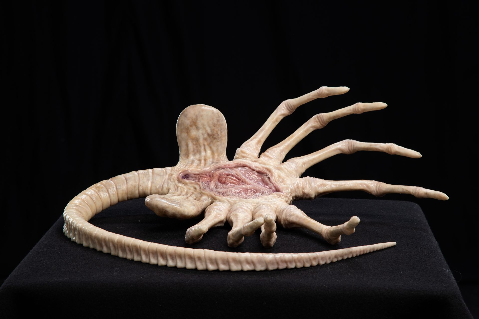 Alien: Earth | Wētā Workshop